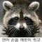 불량정만