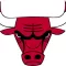 PerthBulls