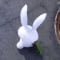 Rabbithome