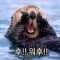 토끼토스트