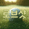 로브샷