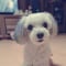 Ruviah