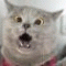 Kubernetics