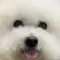 똥꼬앙