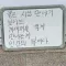 광물인간