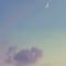실디러브