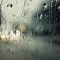 夏雨