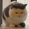 항상바쁜척