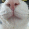 루팡