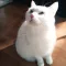 이지EZ