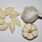 육쪽마늘