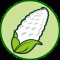 maize92