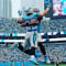 Panthers