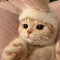 까망꼬망