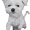 바다야바다가자