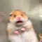 이종정회원