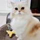 보통의시간