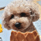 하구
