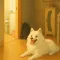 박멸x