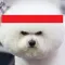 소라게