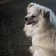 대소산길