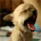 tinystory