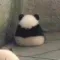 곰도르요