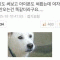 참을수없는존재의간지러움