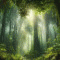 rainforest