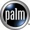 palm